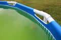 Super Green Water with Algea in Backyard Swimming Pool Royalty Free Stock Photo