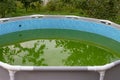 A backyard swimming pool has turned green with algea and dirt and is in need of chlorine treatment. Green water in dirty Royalty Free Stock Photo