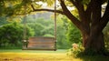 Backyard swing hanging from tree Royalty Free Stock Photo