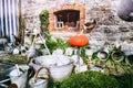 Backyard with vintage garden tools