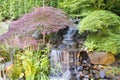 Backyard Waterfall with Trees Royalty Free Stock Photo