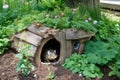 backyard wildlife and critter hideout, with hidden spaces and secret entrances Royalty Free Stock Photo