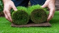 In a backyard, a worker rolls up fresh sod rolls, preparing for a new landscaping project under clear blue skies Royalty Free Stock Photo