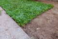 Backyard, yard work planting a new sod grass Royalty Free Stock Photo