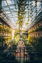 Typical courtyard or backyard of a Budapest residential building, historic residential building, here as a tropical cafee