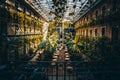 Typical courtyard or backyard of a Budapest residential building, historic residential building, here as a tropical cafeengs