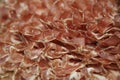 Bacon background Royalty Free Stock Photo