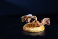 Burger bacon on a bun on a black background Royalty Free Stock Photo