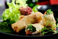 Springroll Royalty Free Stock Photo