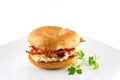 Bacon & Egg Sandwich On An Onion Bagel Royalty Free Stock Photo