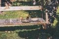 Bacon and eggs. Rustic lunch on the garden swing