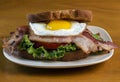 Bacon lettuce tomato sandwich  top with a  egg Royalty Free Stock Photo