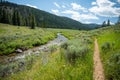 Bacon Rind Trail Cuts Through Meadow Alongside Creek