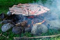 Bacon sizzling on an open fire, back country camping, New Zealand