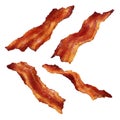 Bacon slices fried snack watercolor illustration