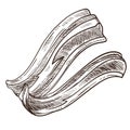 Bacon slices monochrome sketch outline isolated icon in flat style