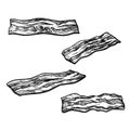 Bacon slices set. Hand drawn sketch style crispy food meat portion of pork from butcher. Fresh traditional breakfast product.