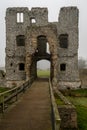 Baconsthorpe Castle, Norfolk, England Royalty Free Stock Photo