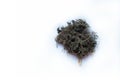 Bacopa monnieri or Brahmi dried leaves is used in Indian ayurvedic herbal medicine.