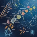Bacteria and archaea, connected by arrows indicating evolutionary Royalty Free Stock Photo