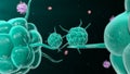 Bacteria attacking the immune system