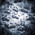 Bacteria background Royalty Free Stock Photo