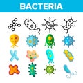 Bacteria, Bacterial Cells Vector Thin Line Icons Set