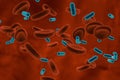 Bacteria in blood, bacteriemia Royalty Free Stock Photo