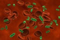 Bacteria in blood, bacteriemia Royalty Free Stock Photo