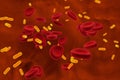 Bacteria in blood, bacteriemia Royalty Free Stock Photo