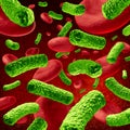 Bacteria Blood Infection Royalty Free Stock Photo