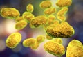 Bacteria Bordetella pertussis Royalty Free Stock Photo