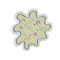 Bacteria Cell icon. Coronavirus Covid. Infected cell Royalty Free Stock Photo