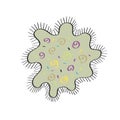 Bacteria Cell icon. Coronavirus Covid. Infected cell