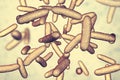 Bacteria Citrobacter, Gram-negative coliform bacteria in the family Enterobacteriaceae
