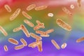 Bacteria Citrobacter, Gram-negative coliform bacteria from Enterobacteriaceae family, 3D illustration