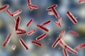 Bacteria Citrobacter, Gram-negative coliform bacteria from Enterobacteriaceae family, 3D illustration