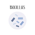 Bacillus. Bacteria classification. Rod-shaped shapes of bacteria, bacilli. Morphology. Microbiology.