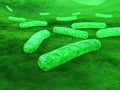 Bacteria close-up. microbes. Royalty Free Stock Photo