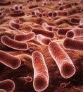 Bacteria depth of field