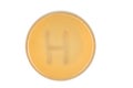 Bacteria escherichia coli culture on plate in shape letter h