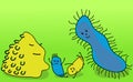 Bacteria family