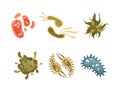 Bacteria and Germs Colorful Micro-organisms and Disease-causing Objects Vector Set