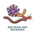 Bacteria and microbes of long and round shapes