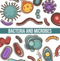 Bacteria and microbes poster with text and organisms vector Royalty Free Stock Photo