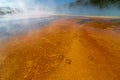 Footprints, Bacteria and Mud Formations, Yellowstone National Park