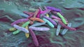 Bacteria Mycobacterium tuberculosis, the causative agent of tuberculosis Royalty Free Stock Photo