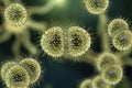 Bacteria Neisseria meningitidis Royalty Free Stock Photo