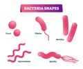 Bacteria shapes vector illustration. Educational micro cells collection set Royalty Free Stock Photo