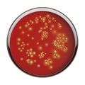 Bacteria Staphylococcus aureus, 3D illustration Royalty Free Stock Photo